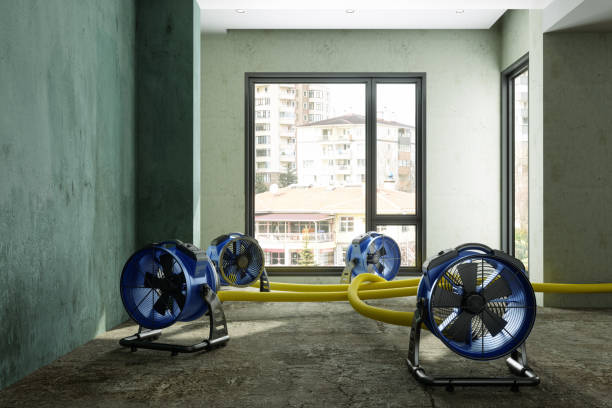 Best Professional water damage repair  in Syracuse, KS