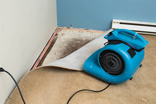 Water damage restoration insurance claims in Syracuse, KS